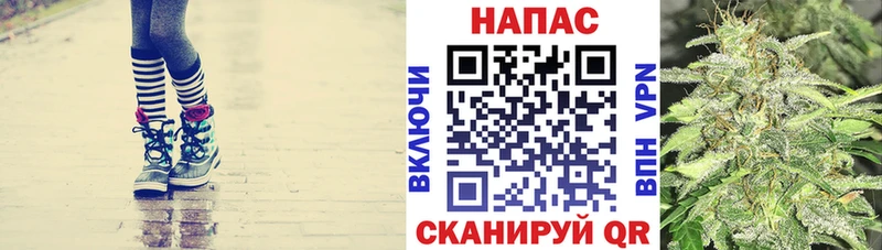 OMG сайт  где найти наркотики  Рыбное  Бошки марихуана план 